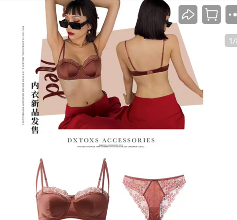 Image of Brown Bra set